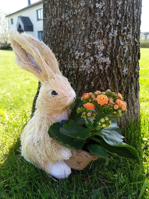 Free download Rabbit Bunny Flower -  free photo or picture to be edited with GIMP online image editor