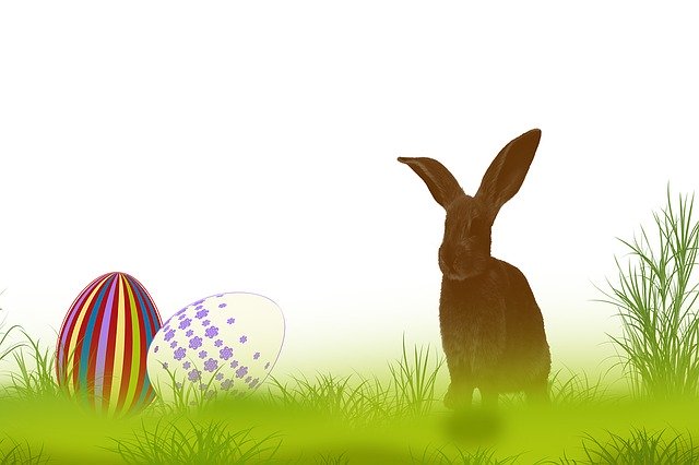 Free download Rabbit Grass Spring -  free illustration to be edited with GIMP free online image editor