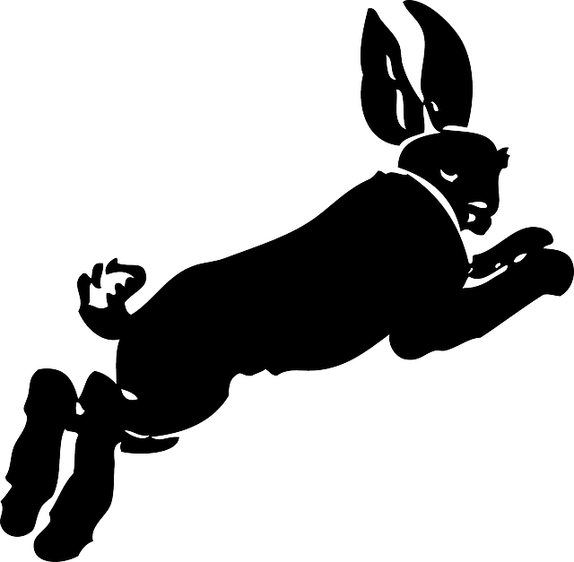 Tải xuống miễn phí Rabbit Jumping Moving - Đồ họa vector miễn phí trên Pixabay
