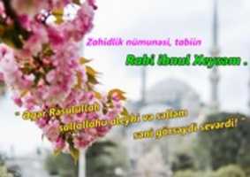 Free download Rabi Heysem free photo or picture to be edited with GIMP online image editor