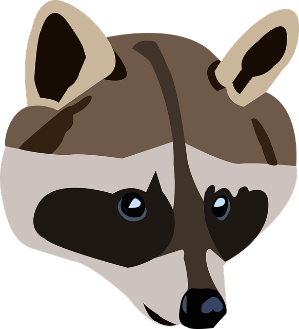 Free download Raccoon Animal Wild -  free illustration to be edited with GIMP free online image editor