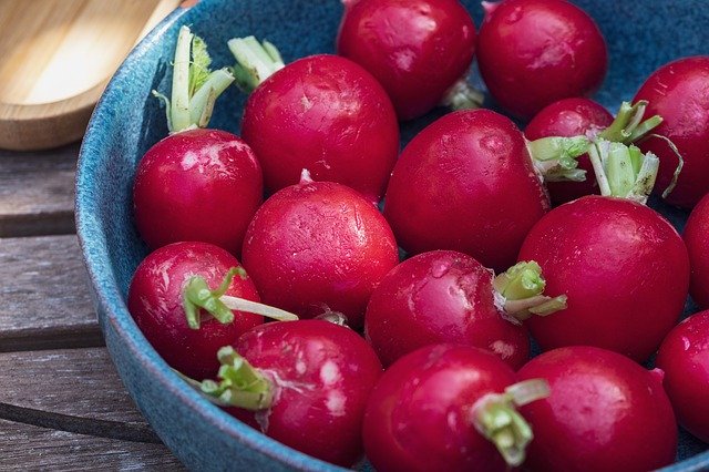 Descarga gratuita Radish Radishes Food: foto o imagen gratuita para editar con el editor de imágenes en línea GIMP