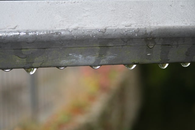 Free download railing metal raindrop wet rain free picture to be edited with GIMP free online image editor
