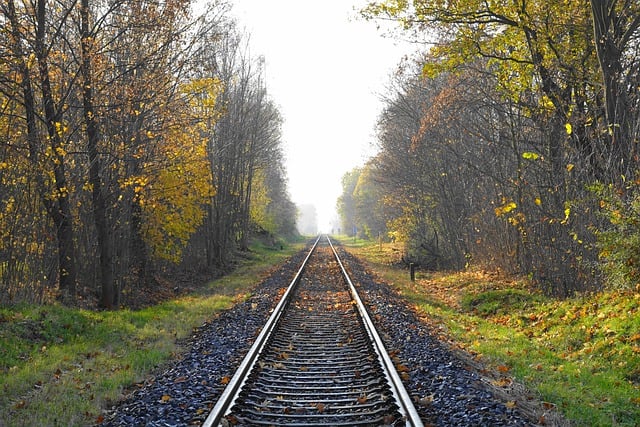 Free download railroad track forest fog fall free picture to be edited with GIMP free online image editor