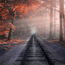 Railway through the forest  screen for extension Chrome web store in OffiDocs Chromium
