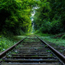 railway track winding through the Marind forest  screen for extension Chrome web store in OffiDocs Chromium