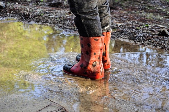 Free download Rain Boots Shoes -  free photo or picture to be edited with GIMP online image editor