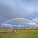 Rainbow on the farm  screen for extension Chrome web store in OffiDocs Chromium