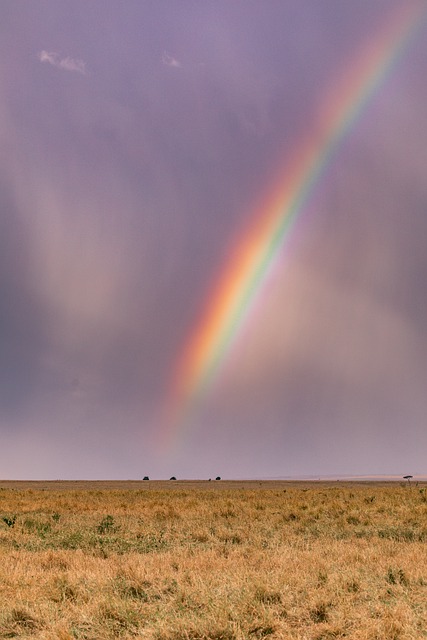 Free download rainbow safari landscape savannah free picture to be edited with GIMP free online image editor