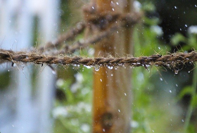 Download gratuito Rain Drip Rope - foto o immagine gratuita da modificare con l'editor di immagini online GIMP