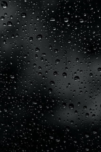 Free download Rain Drip Wet -  free photo or picture to be edited with GIMP online image editor