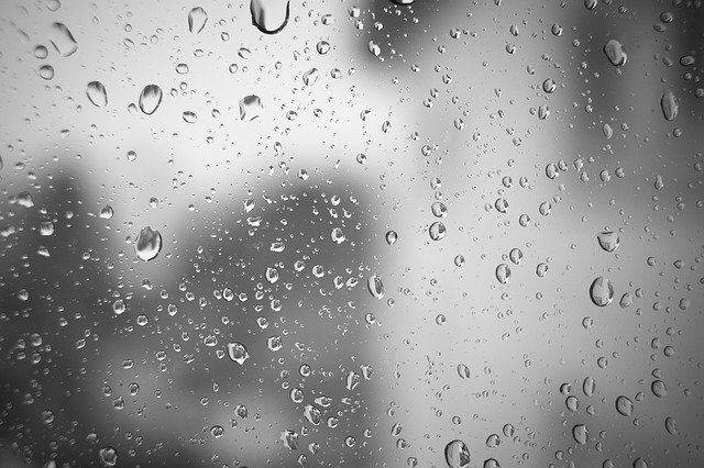 Download gratuito Raindrop Disc Rain Drop Of - foto o immagine gratuita da modificare con l'editor di immagini online GIMP