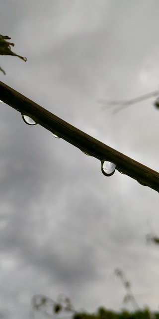 Unduh gratis Rain Drop Montenegro - foto atau gambar gratis untuk diedit dengan editor gambar online GIMP
