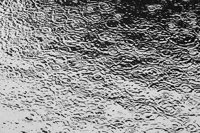 Descărcare gratuită Raindrops Are Falling Rain Began - fotografie sau imagini gratuite pentru a fi editate cu editorul de imagini online GIMP