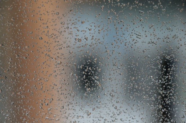 Muat turun percuma Rain Drops Water - foto atau gambar percuma untuk diedit dengan editor imej dalam talian GIMP