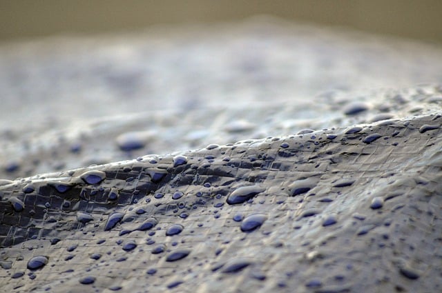Free download raindrops wet rain drops of water free picture to be edited with GIMP free online image editor