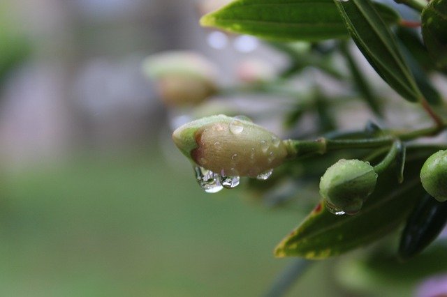 免费下载雨灰云 - 使用 GIMP 在线图像编辑器编辑的免费照片或图片