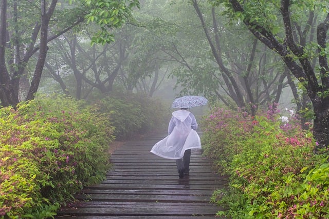 Free download rain path person umbrella stairs free picture to be edited with GIMP free online image editor