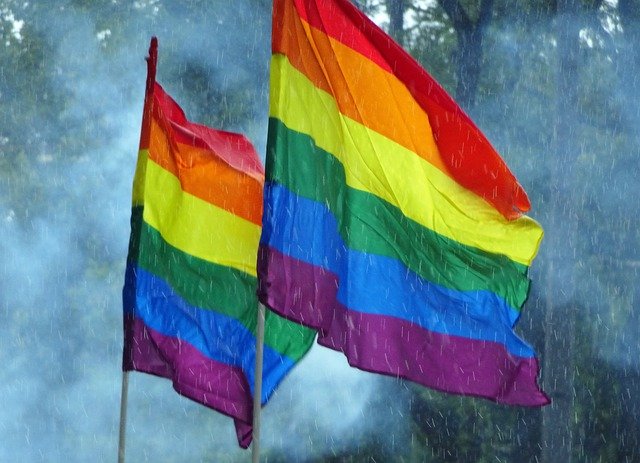 Muat turun percuma Rain Rainbow Flag Csd - foto atau gambar percuma untuk diedit dengan editor imej dalam talian GIMP