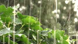 Free download Rain Rainy Weather Wet free video to be edited with OpenShot online video editor