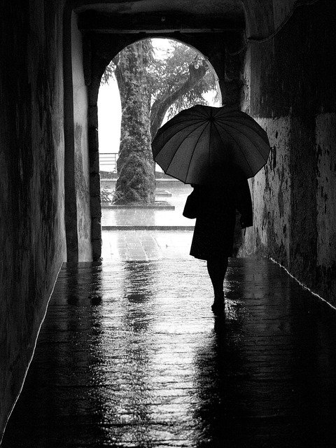 Descarga gratuita Rain Umbrella Silhouette: foto o imagen gratuita para editar con el editor de imágenes en línea GIMP