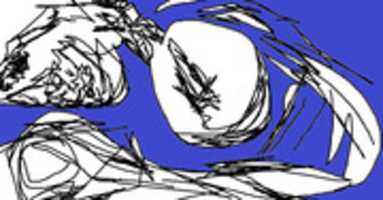 Free download raizqt free photo or picture to be edited with GIMP online image editor