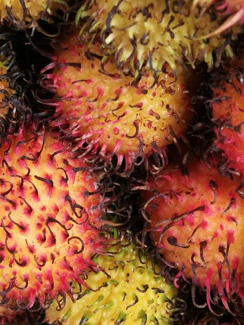 Free download Rambutan Fruit Market -  free photo or picture to be edited with GIMP online image editor