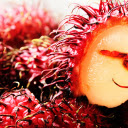 Rambutan with red skin and white flesh  screen for extension Chrome web store in OffiDocs Chromium