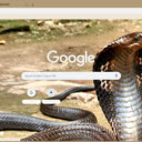 Ran  screen for extension Chrome web store in OffiDocs Chromium