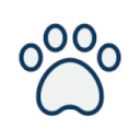 Random Animal Generator  screen for extension Chrome web store in OffiDocs Chromium
