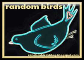 Free download Random Birds Blog Buttons free photo or picture to be edited with GIMP online image editor