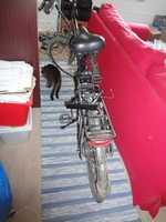 Free download Randomforum Facebook - Uusi Matto free photo or picture to be edited with GIMP online image editor