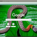 Ran lua  screen for extension Chrome web store in OffiDocs Chromium