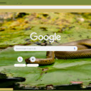 Ran nuoc  screen for extension Chrome web store in OffiDocs Chromium