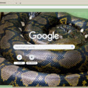 Ran Piton  screen for extension Chrome web store in OffiDocs Chromium