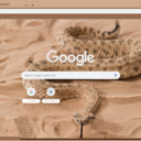 Ran Sidewinder  screen for extension Chrome web store in OffiDocs Chromium