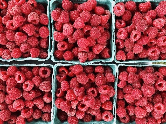 Free download Raspberries Fruit Berries -  free photo or picture to be edited with GIMP online image editor