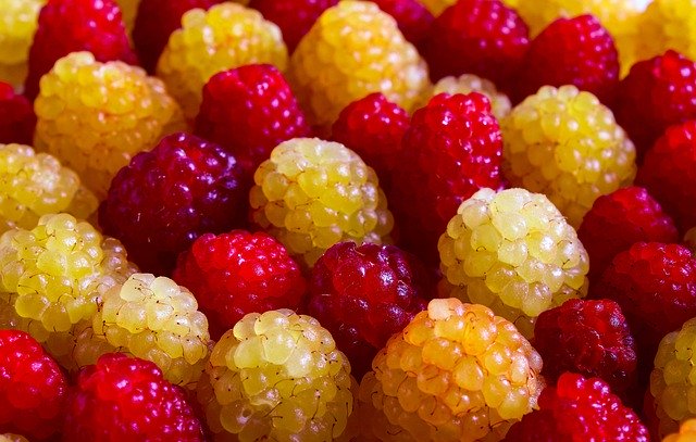 Unduh gratis Raspberry Berry Food - foto atau gambar gratis untuk diedit dengan editor gambar online GIMP