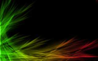 Free download rasta free photo or picture to be edited with GIMP online image editor