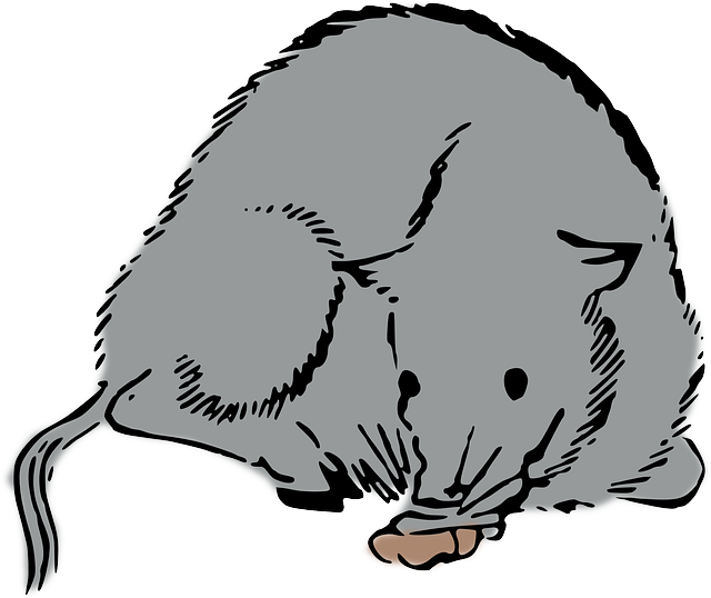 Free download Rat Mouse - Free vector graphic on Pixabay free illustration to be edited with GIMP free online image editor