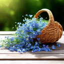 Rattan basket wallpaperallpaper  screen for extension Chrome web store in OffiDocs Chromium