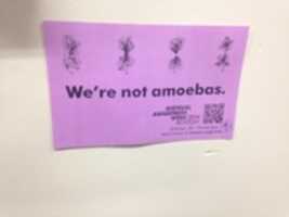 Free download RC 4 free photo or picture to be edited with GIMP online image editor