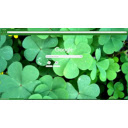 Real Clovers  screen for extension Chrome web store in OffiDocs Chromium