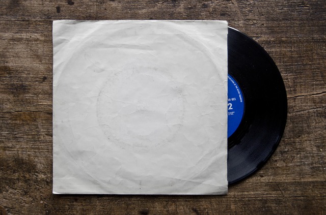 Free download record gramophone record disc disk free picture to be edited with GIMP free online image editor