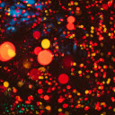 Red and Yellow Bokeh Lights  screen for extension Chrome web store in OffiDocs Chromium