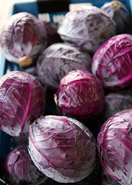 Free download red cabbages cabbages vegetables free picture to be edited with GIMP free online image editor