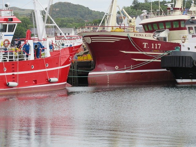 Bezpłatne pobieranie Red Fishing - bezpłatne zdjęcie lub obraz do edycji za pomocą internetowego edytora obrazów GIMP