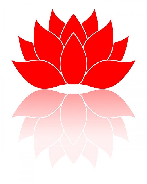 Free download Red Flower Isolated -  free illustration to be edited with GIMP free online image editor