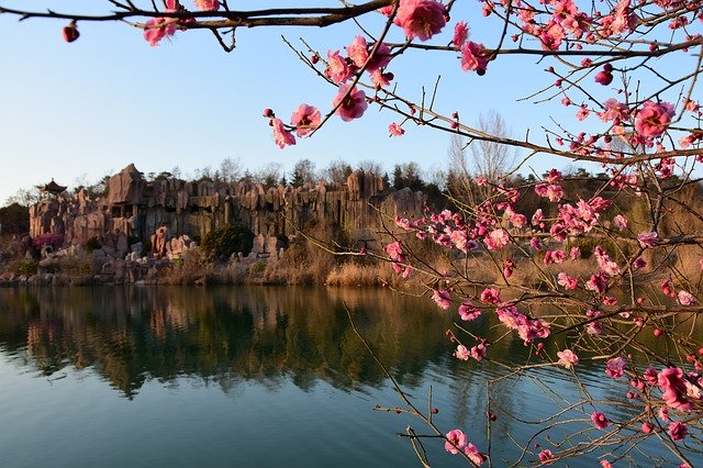 Téléchargement gratuit Red Flowers Mountain Stone Lake - photo ou image gratuite à éditer avec l'éditeur d'images en ligne GIMP