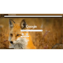 Red fox in wheat field  screen for extension Chrome web store in OffiDocs Chromium
